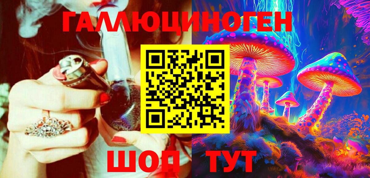 Галлюциногенные грибы Magic Shrooms  Галлюциногенные грибы GOLDEN TEACHER  Вход с VPN  цена наркотик  Заводоуковск 
